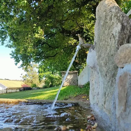 A Cuadrina