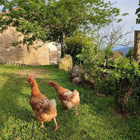 A Cuadrina ゲストハウス